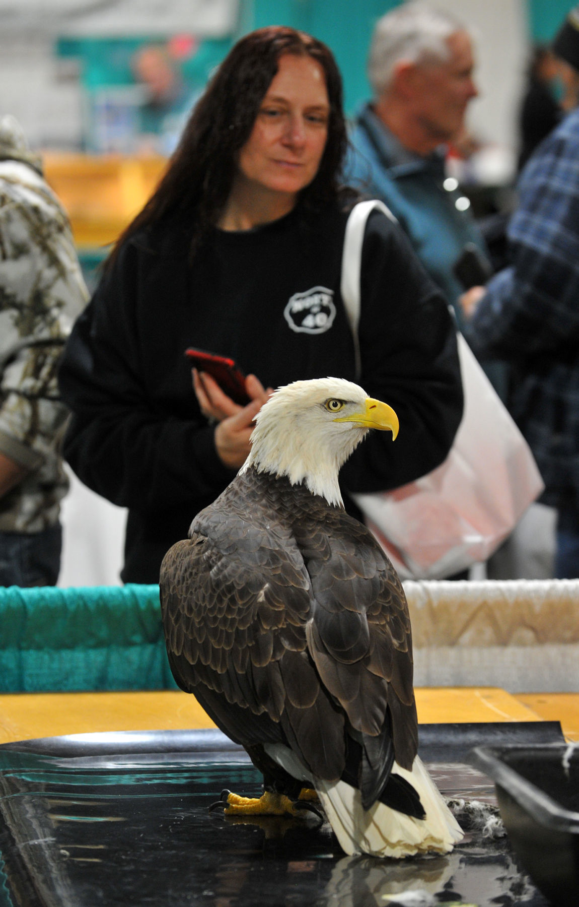 Bald Eagle Days at the QCCA Expo Center